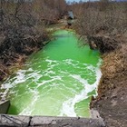 В реке в ВКО позеленела вода 
