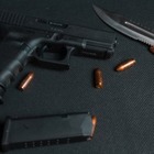 Две тысячи единиц оружия так и не нашли после январских событий
