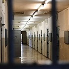 В колонии «Черный беркут» коронавирусом заразились 25 сотрудников