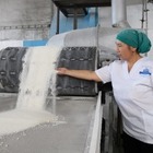 В Минсельхозе рассказали, сколько всего сахара осталось в Казахстане