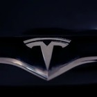 Tesla vs экоактивисты: Компания собирается срубить 92 гектара леса под Берлином