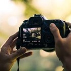 Машущий енот и романтичный медвежонок: Объявлены финалисты конкурса смешных фотографий дикой природы