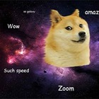 «Первый мем в космосе»: SpaceX запустит спутник Doge-1, названный в честь мема
