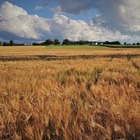Экс-главу управления сельского хозяйства Алматинской области подозревают в хищении средств