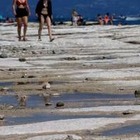 Исследование: В Европе наблюдается самая сильная за последние 500 лет засуха