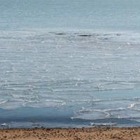 Токаев поручил изучить вопрос сокращения озера Балхаш