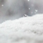 В снегах Арктики нашли частицы пластика