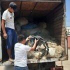 Рыбу на 11 миллионов тенге выловили браконьеры в Туркестанской области