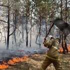 В Костанайской области произошел крупный лесной пожар. Его тушат уже целые сутки