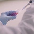 Исследование: Как переход на системы нагревания табака влияет на организм