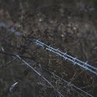 На особо охраняемых природных территориях РК разрешат строить объекты для нужд обороны