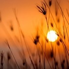 Синоптики прогнозируют ослабление жары в Казахстане