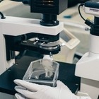 Индийский штамм найден во всех регионах Казахстана Индийский штамм найден во всех регионах Казахстана