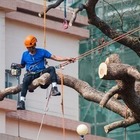 Более 15 тысяч иностранцев трудятся в Казахстане