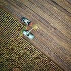 Запрет на продажу земель иностранцам: Сенат внес поправки
