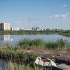 Художник Асхат Ахмедьяров остановил засыпку Малого Талдыколя