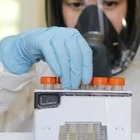 В России обнаружили новый подвариант омикрон-штамма «Кентавр»