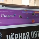 Wildberries сменил название своего сайта на русскоязычное «Ягодки»
