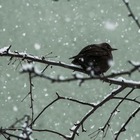 На севере Казахстана ожидаются морозы до 25 градусов