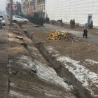 Срубленные возле Sulpak деревья были краснокнижными