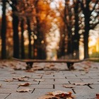 Как будут выглядеть парки и скверы Алматы?
