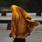 Гибель девушки, задержанной полицией из-за хиджаба, вызвала волну протестов в Иране