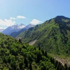 Экологи рассказали об опасном состоянии Иле-Алатауского парка 
