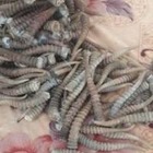13 мешков с рогами сайги изъяли полицейские в Алматинской области