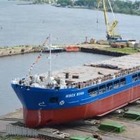 В Турции задержали судно, вывезшее из Украины несколько тысяч тонн зерна
