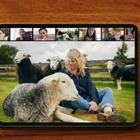 Airbnb запустила онлайн-путешествия
