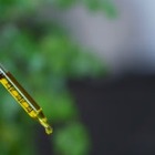 На плохие поступки и запахи люди реагируют одинаково, выяснили ученые