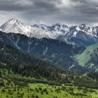 Курорту «Кок-Жайляу» передадут 134 гектара Иле-Алатауского парка