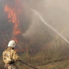 В Абайской области тушат крупный лесной пожар. Его площадь уже 1 100 гектаров