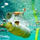 Страны Большой двадцатки договорились бороться с пластиковым мусором