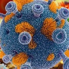 Почти два миллиона человек заразились ВИЧ в 2018 году по всему миру
