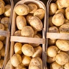 За сколько сейчас можно купить картошку и морковку в Алматы