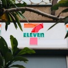 Открытия «Пятерочки» и 7-Eleven не стоит ждать в этом году