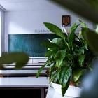 Изъятые у коррупционеров деньги направят на строительство школ в ноябре