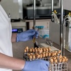 Индийский штамм коронавируса нашли в столице Казахстана
