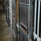 Двух алматинских блогеров приговорили к пяти годам лишения свободы