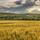 Каким будет лето в РК, рассказали синоптики