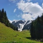 20 % территории Медеуского парка передали под жилищную застройку