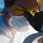 Ученые обнаружили около 100 тысяч новых вирусов 