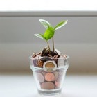 Американец заработал на обмане себя же