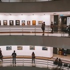 В музее Кастеева проведут выставку российской художницы