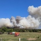 Из-за лесного пожара в районе области Абай объявлен режим ЧП