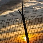 Польша начала строить забор из колючей проволоки на границе с Россией
