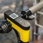 В Алматы появятся прокатные электросамокаты