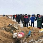 Свиноферма в Актюбинской области закапывала отходы от забитых свиней в траншеи