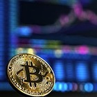 Появилась криптовалюта, которая растет в цене после каждой смерти от Covid-19